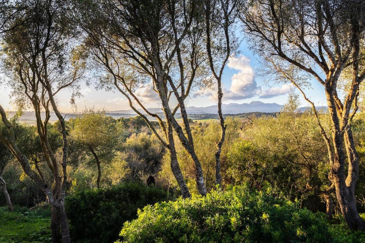 María de la Salud Finca Es Pujol מראה חיצוני תמונה